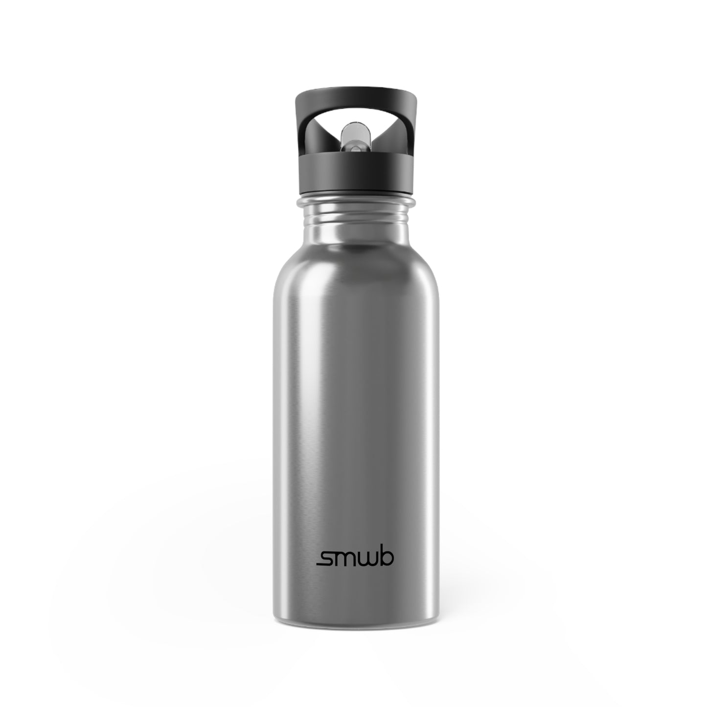 Stainless Steel Water Bottle With Straw, 20oz